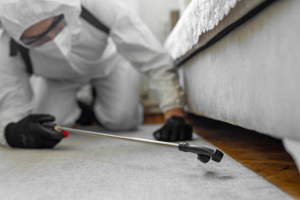 Professional Termite Control technician working in Sewell, NJ
